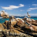 Experience the Clear Boat adventure & Cabo San Lucas City Tour - FAQ about the Tour