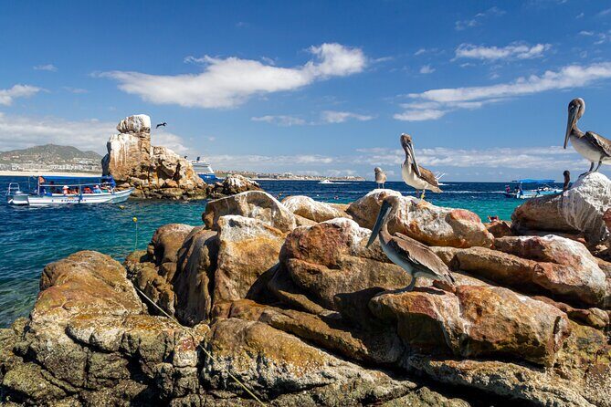 Experience the Clear Boat adventure & Cabo San Lucas City Tour - FAQ about the Tour