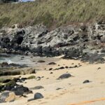 Experience the soul of Maui: Tours led by Maui's own! - FAQ