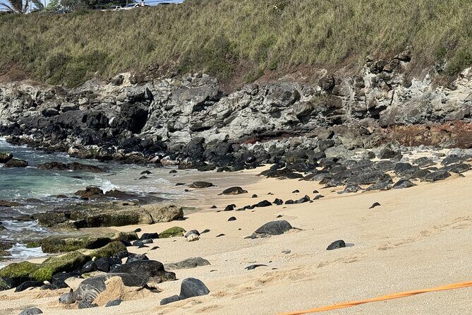 Experience the soul of Maui: Tours led by Maui's own! - FAQ