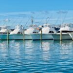 Exploration of Majestic Crystal Coast - Pricing and Value