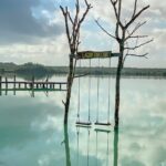 Explore 3 Cenotes + 1 Lagoon a tour Full Day only from Cancun - What’s Included and What to Consider