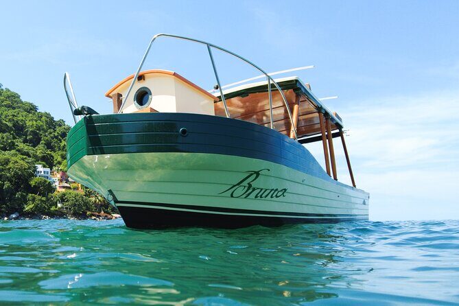 Explore Banderas Bay: Exclusive Boat Journies - Why Choose This Private Banderas Bay Tour?