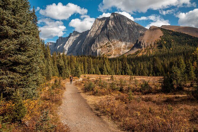 EXPLORE Canmore's HIDDEN Trails and Local Landmarks - 3H Hike - The Value of the Experience