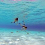 Explore El Cielo in Cozumel. Snorkel in 3 different reefs & visit Cielito Beach. - What’s Good About It