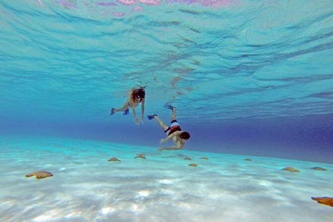 Explore El Cielo in Cozumel. Snorkel in 3 different reefs & visit Cielito Beach. - What’s Good About It