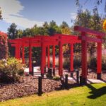 Explore gardens & galleries filled with incredible art, Matakana - Who Would Enjoy This?
