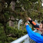 Explore Hokitika Gorge and Tree Top Walkway - What Travelers Are Saying