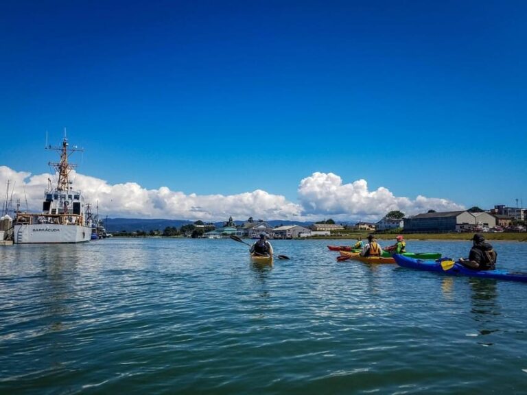 Explore Humboldt Bay by Kayak - Who Will Love This Experience?