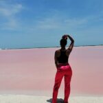 Explore Las Coloradas & Rio Lagartos from Riviera Maya - Final Thoughts: Is This Tour Right for You?