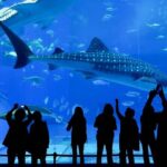 Explore Long Beach: Self-Guided Audio Tour - The Practicalities: What You Need to Know