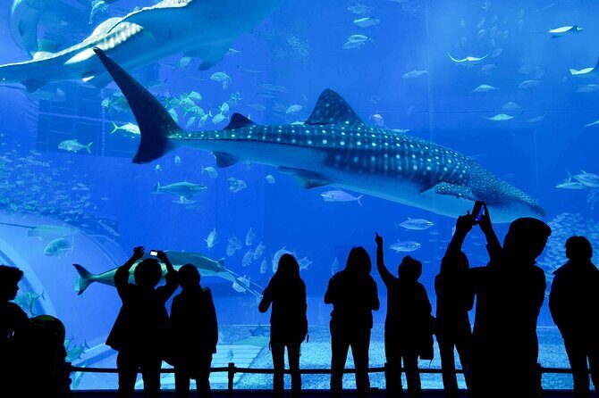 Explore Long Beach: Self-Guided Audio Tour - The Practicalities: What You Need to Know