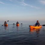 Explore Mangrove Creeks with an All Day SUP/single kayak Rental - Wildlife and Nature Encounters