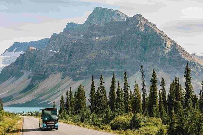 Explore Moraine and Louise Roundtrip from Banff Shared Bus Tour - Who Should Consider This Tour?