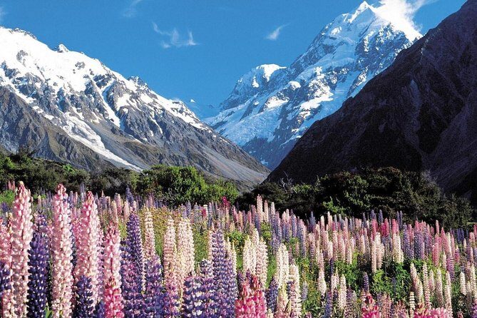Explore Mount Cook from Christchurch - The Practicalities: What to Expect