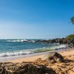 Explore Oahu in a Polaris Slingshot - The Highlights: What You Can See and Do