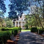 Explore Oak Alley Plantation Guided Tour with Transportation - Feedback from Previous Travelers