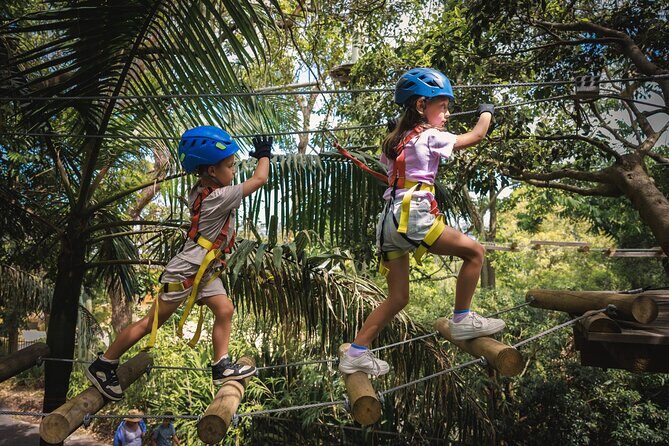 Explore Ourimbah State Forest Junior Tree Ropes Course - What Are the Drawbacks?