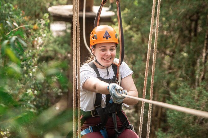 Explore Ourimbah State Forest Tree Ropes Course - How the Tour is Structured