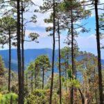 Explore Sierra Norte, Half-Day Hiking Adventure - What the Reviews Say (and What They Reveal)