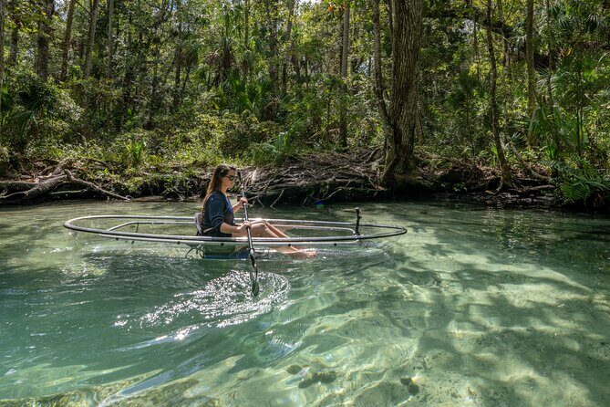 Explore The Chaz: Exclusive Clear Kayak Tours Near Crystal River - In-Depth Look at the Itinerary
