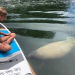 Explore the Mangrove Creeks with an ALL Day Tandem Kayak Rental - The Reviews Say It All