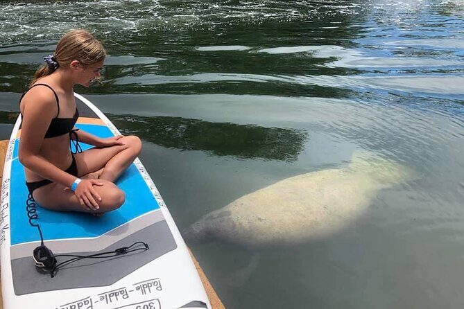 Explore the Mangrove Creeks with an ALL Day Tandem Kayak Rental - The Reviews Say It All