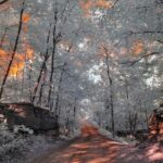 Explore the Views of Niagara Falls - The Value of the Price