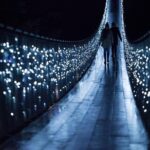 Explore Vancouver City & Capilano Suspension Bridge Canyon Lights - Frequently Asked Questions