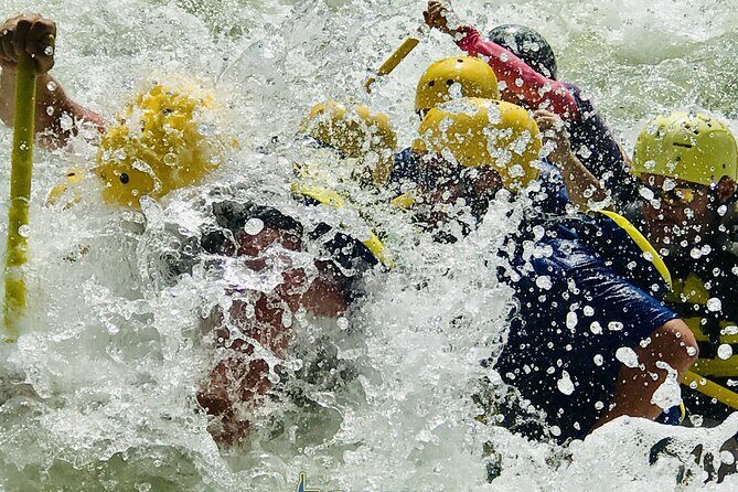 Extreme Class V Whitewater Rafting on the Gauley River WV (Fall Only) - What the Experience Looks Like
