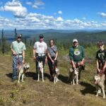 Fairbanks: Husky Hiking Tour - What’s Included and What You Can Expect