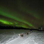 Fairbanks: Moonlight Dog Sled, Dinner & Northern Lights - Final Thoughts