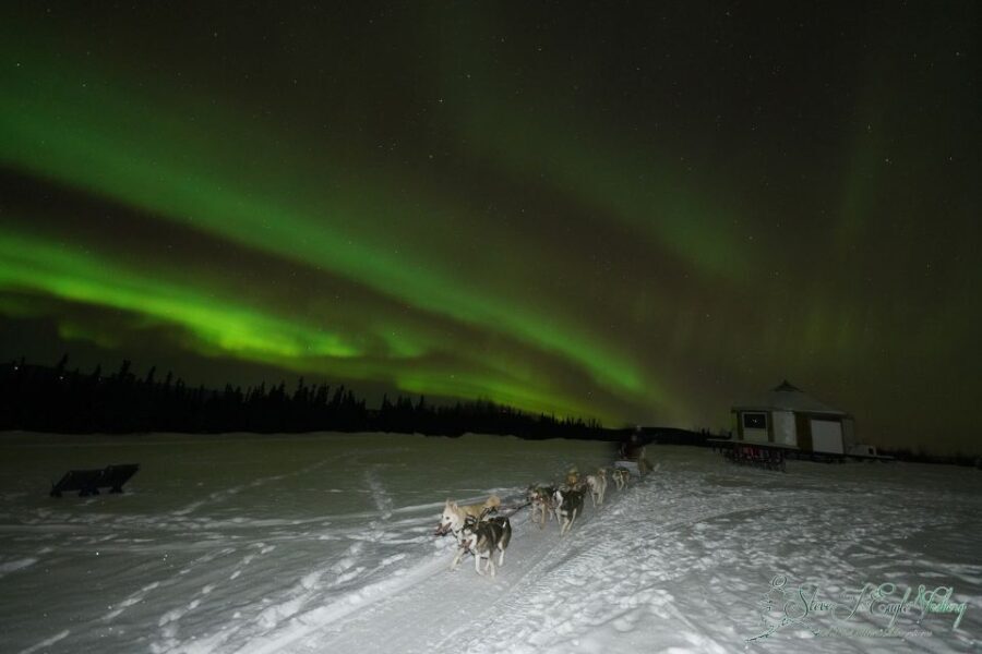 Fairbanks: Moonlight Dog Sled, Dinner & Northern Lights - Final Thoughts