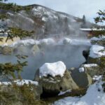 Fairbanks: Northern Lights and Chena Hot Springs Tour - Pricing and Value