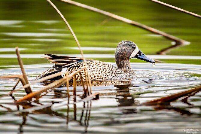 Fairbanks Private Photography Workshop - Who Will Love This Tour?