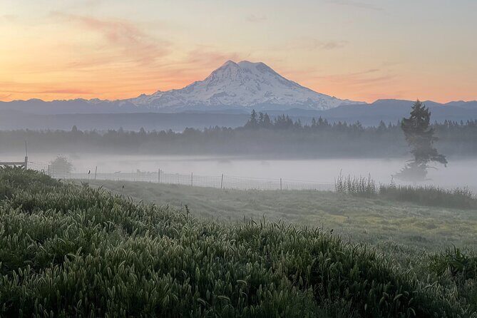 Faithful Hands Farm Tour - Who Will Enjoy This Tour?