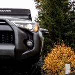 Fall Adventure Vancouver Island Grizzly Bears, High Tea and More - Who Should Consider This Tour?