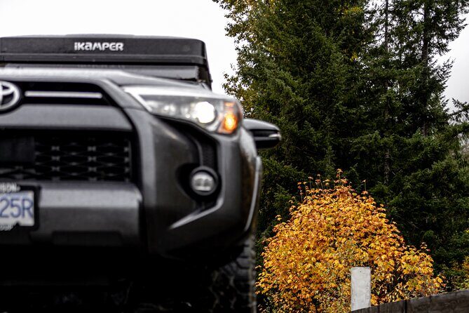 Fall Adventure Vancouver Island Grizzly Bears, High Tea and More - Who Should Consider This Tour?