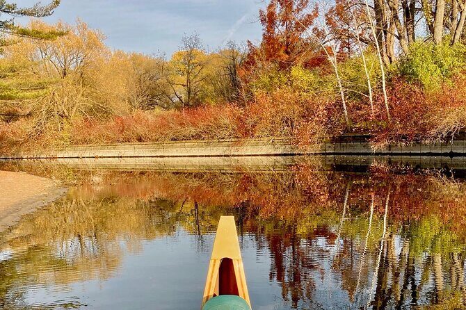 Fall Colours Canoe Tour on the Toronto Islands - Why the Toronto Islands Lagoons?