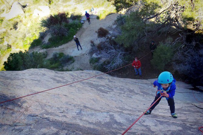 Family Rock Climbing Trips in Joshua Tree National Park (6 Hours) - What Past Customers Say