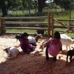 Family Tour in Victoria: Fun and Adventure for all ages - The Itinerary in Detail