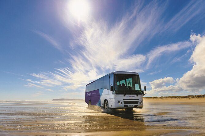 Far North New Zealand Tour Including 90 Mile Beach and Cape Reinga from Paihia - The Transportation and Group Experience