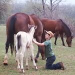 Farm Adventure Experience in Red Hill Ranch - How This Experience Fits Different Travelers