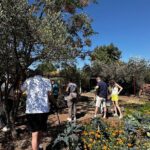 Farm to Table Cooking Experience in San Miguel - Frequently Asked Questions