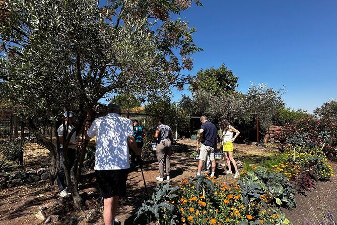 Farm to Table Cooking Experience in San Miguel - Frequently Asked Questions