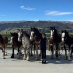 Farm & Wine Experience Fun Experience from Queenstown New Zealand - Final Thoughts