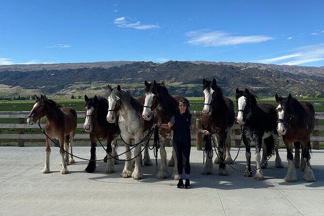 Farm & Wine Experience Fun Experience from Queenstown New Zealand - Final Thoughts