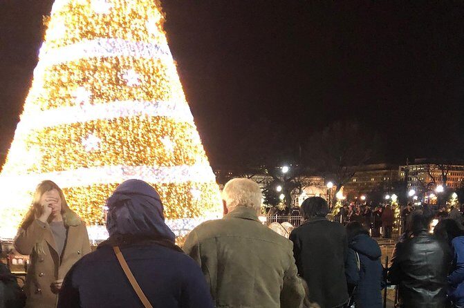 Festival Of Lights Night Tour - The Experience: What You Can Expect