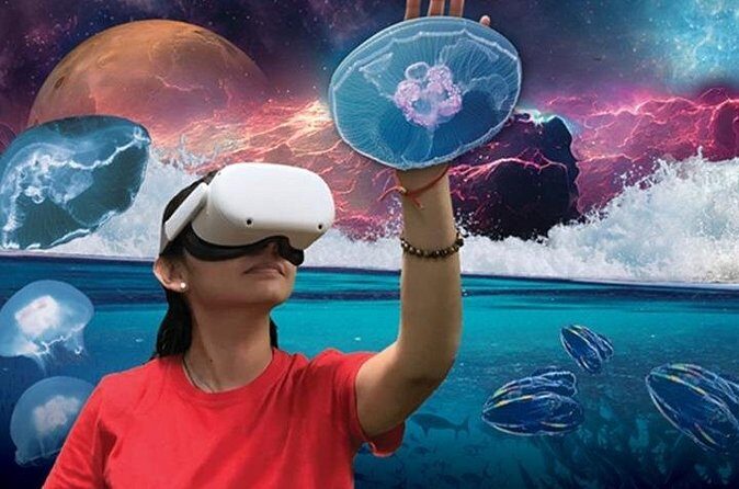 Field Museum Basic Admission Ticket Plus VR Experience - Who This Tour Is Best For