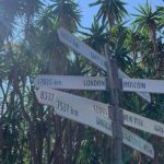 Fierce Nights & Neon Lights - Kings Cross Sydney Scavenger Hunt - The Experience: Details and Insights